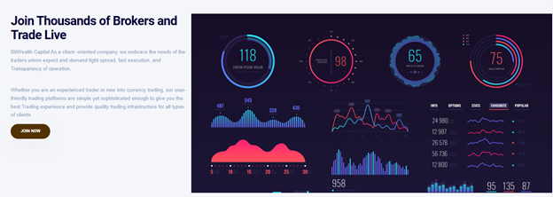 BitWealth Capital 1 ekran