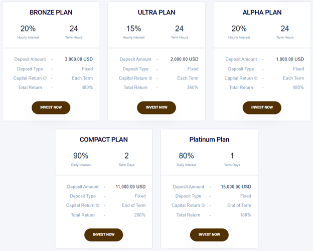 BitWealth Capital 2 ekran