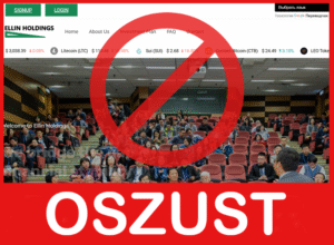 Ellin Holdings twarz ekran