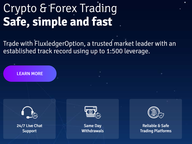 FluxledgerOption 2 ekran