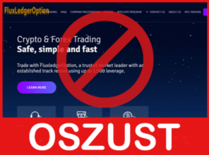 FluxledgerOption twarz ekran