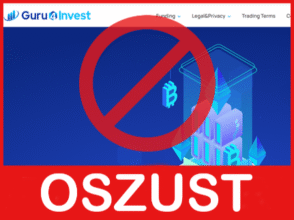 Guru4 Invest twarz ekran
