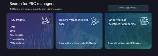 Ice markets 2 ekran