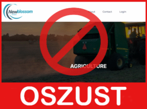 New Blossom twarz ekran