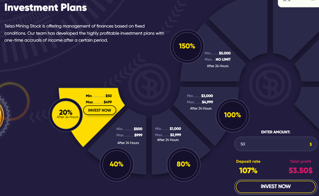 Tesla Mining Stock 1 ekran