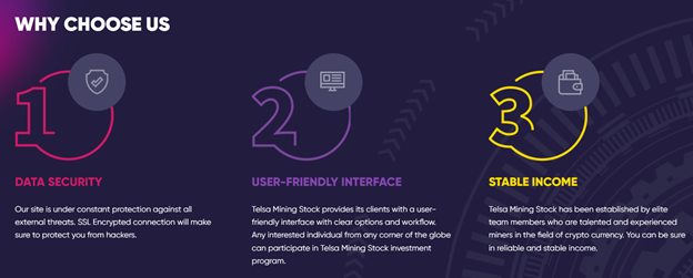 Tesla Mining Stock 2 ekran