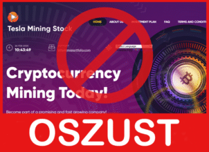Tesla Mining Stock twarz ekran