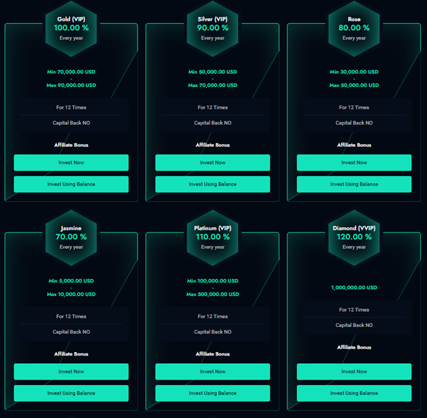 Brickon Funding 2 ekran