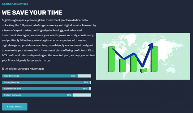 DigitalSurgecap 2 ekran