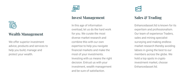 Enhanced Asset LTD 1 ekran