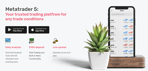 Fortis Traders 2 ekran