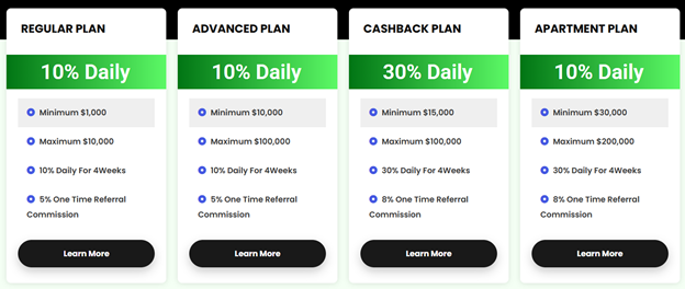 Green Portfolio 2 ekran