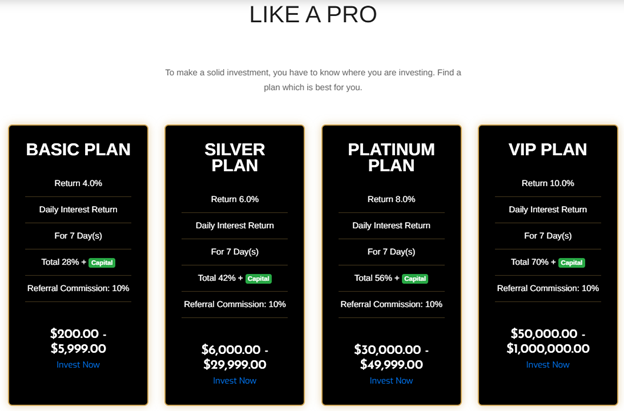 Greenstonefunds 2 ekran