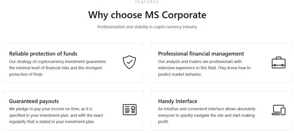 MS Corporate 1 ekran
