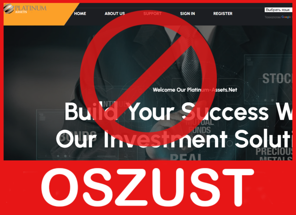 Platinum-assets twarz ekran