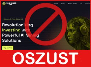 Prime Bridge Ltd twarz ekran