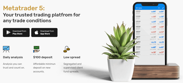 Real IC Market 2 ekran