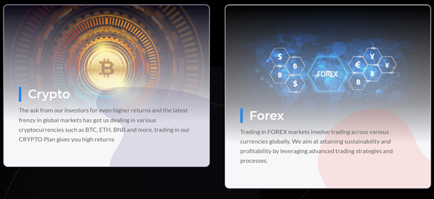 Risevest LTD 1 ekran