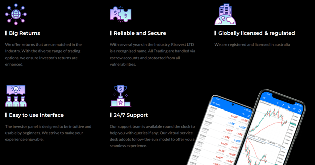 Risevest LTD 2 ekran