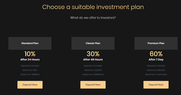 Rockchain Assets 1 ekran