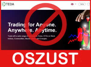 TEDA Global Limited twarz ekran