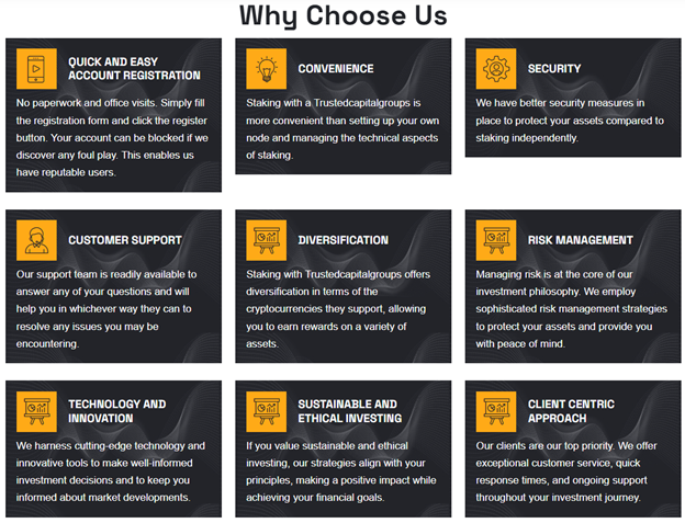 Trustedcapitalgroups 1 ekran