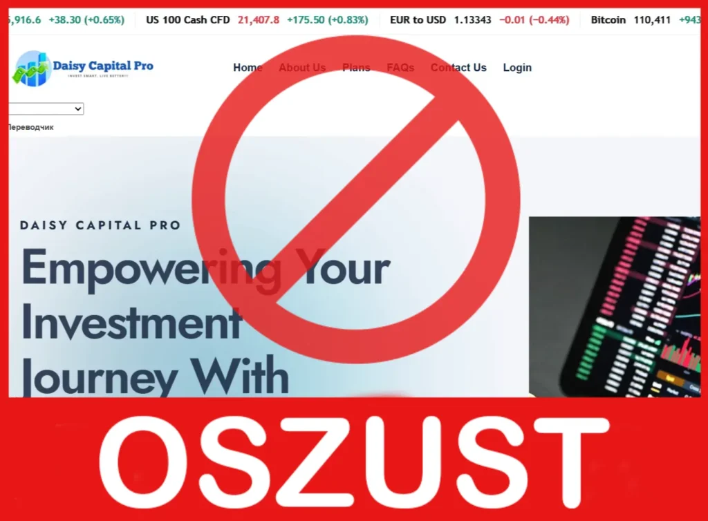 Daisy Capital Pro twarz ekran