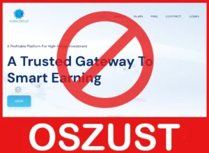 Global Coin Hub twarz ekran