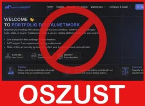 PortfolioDigitalNetwork twarz ekran