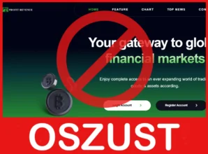 Profits Revenue twarz ekran