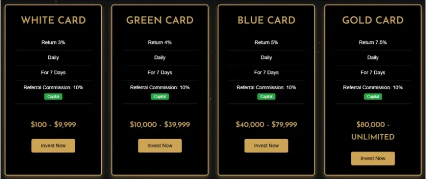 Rux Holdings Ltd 1 ekran