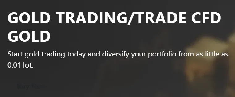 Rytradecapital 1 ekran