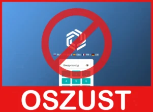 STProfit twarz ekran