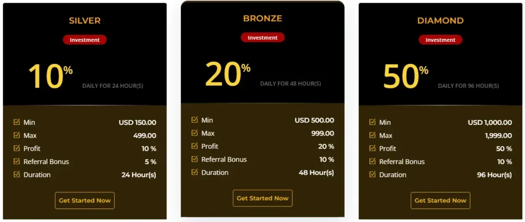 Tedex Digital 2 ekran