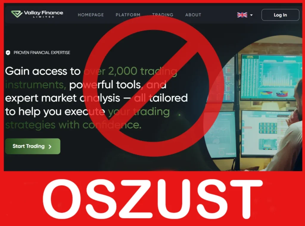 Vallay Finance twarz ekran