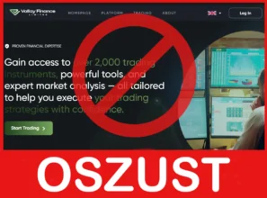 Vallay Finance twarz ekran