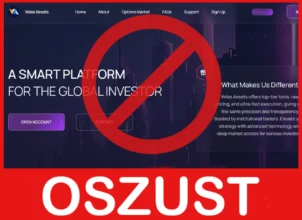 Veles Assets twarz ekran