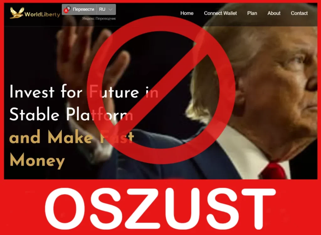 Wlfsystems twarz ekran