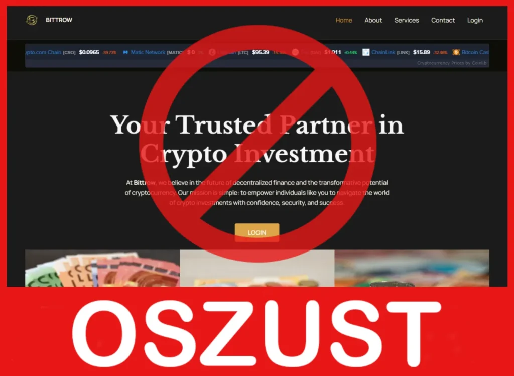 WorldLiberty twarz ekran