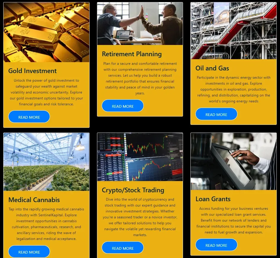 SentinelKapital 1 ekran