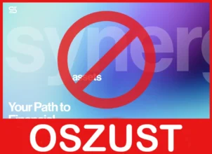 Synergy Assets twarz ekran