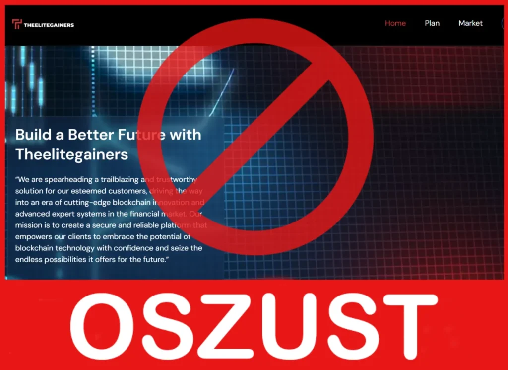 Theelitegainers twarz ekran