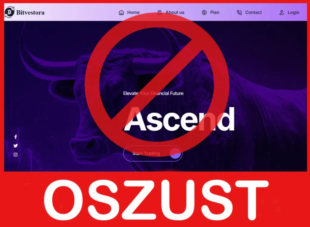 Bitvestora twarz ekran