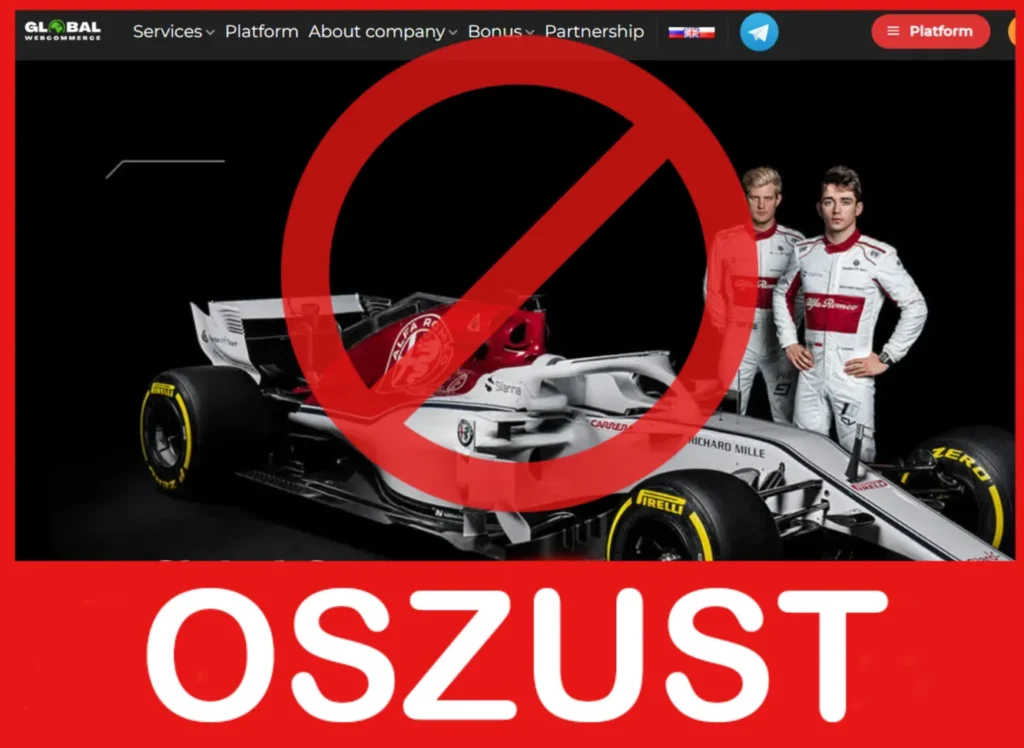 Global Webcommerce twarz ekran