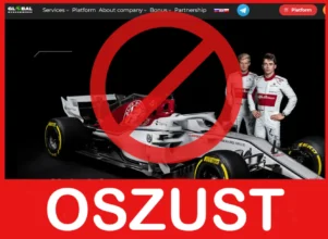 Global Webcommerce twarz ekran