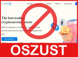 Liman Capital twarz ekran