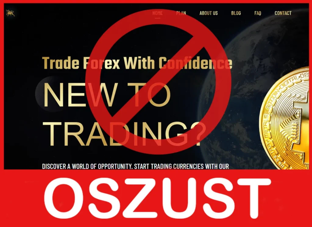 OptimaFxTrade twarz ekran