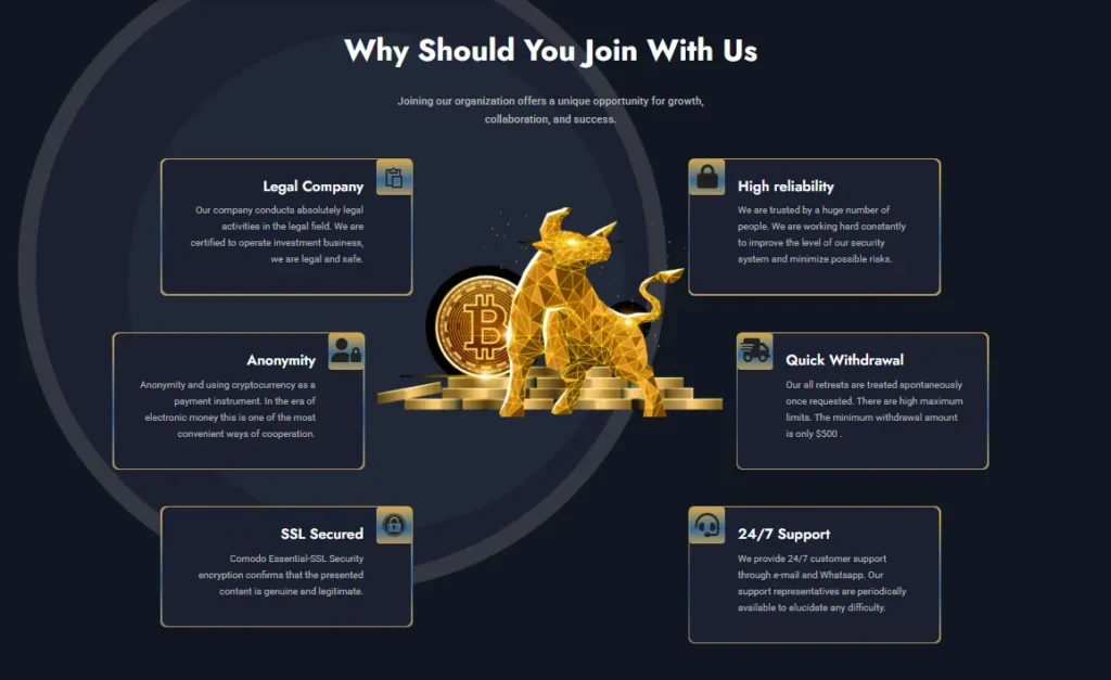 Option FX Group 1 ekran