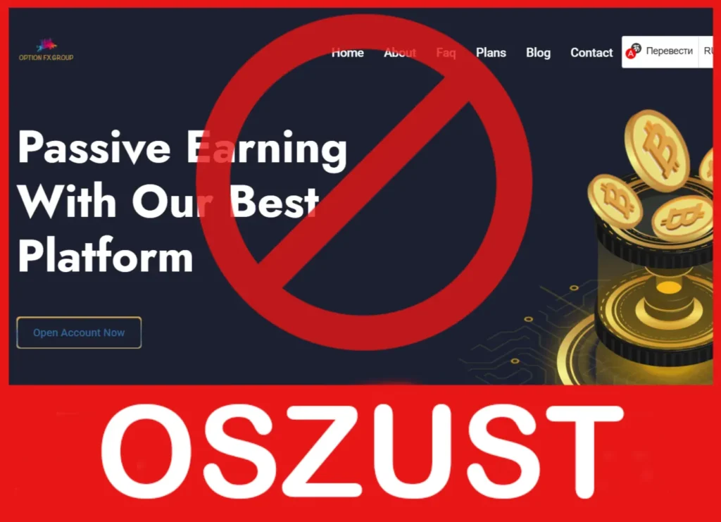 Option FX Group twarz ekran