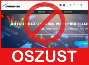 Profit4lifevde twarz ekran